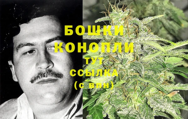 дурь Дмитров