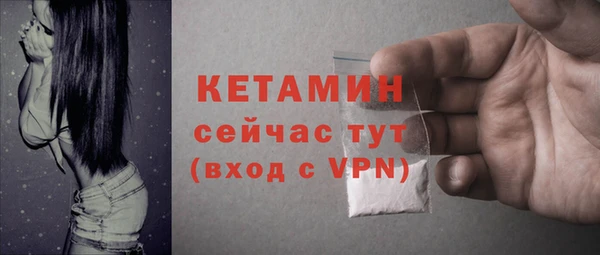 шишки Коряжма