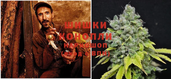 бошки Корсаков
