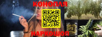 стафф Будённовск
