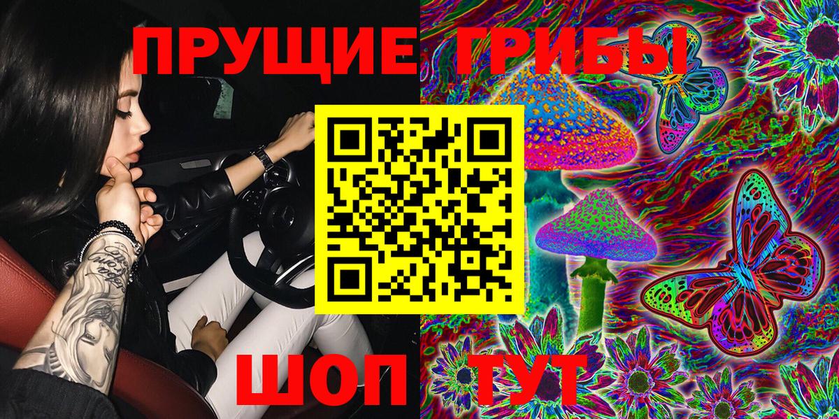 Галлюциногенные грибы прущие грибы  Зима 