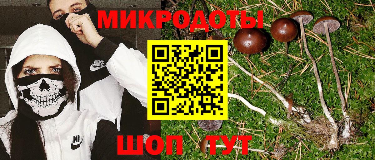 Псилоцибиновые грибы Cubensis Зима