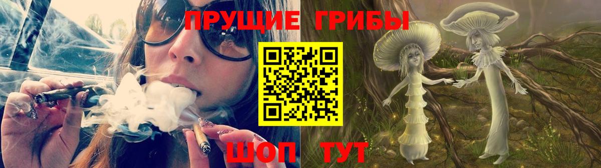 Псилоцибиновые грибы Cubensis Зима