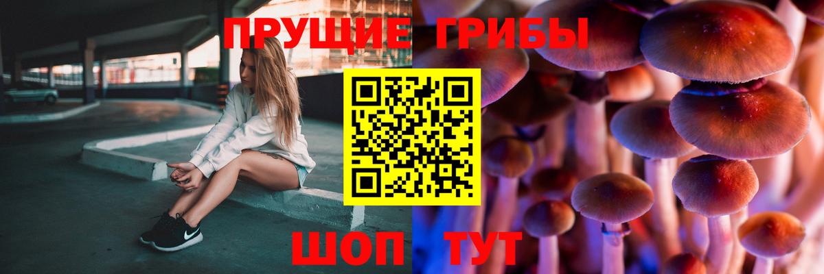 Псилоцибиновые грибы MAGIC MUSHROOMS  Вход с VPN  Зима 